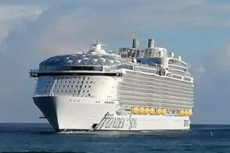 cruceros nov