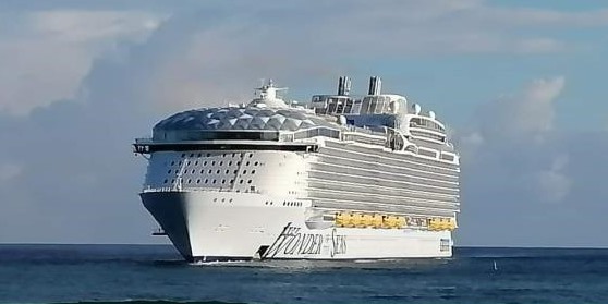 cruceros nov