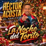 torito noche